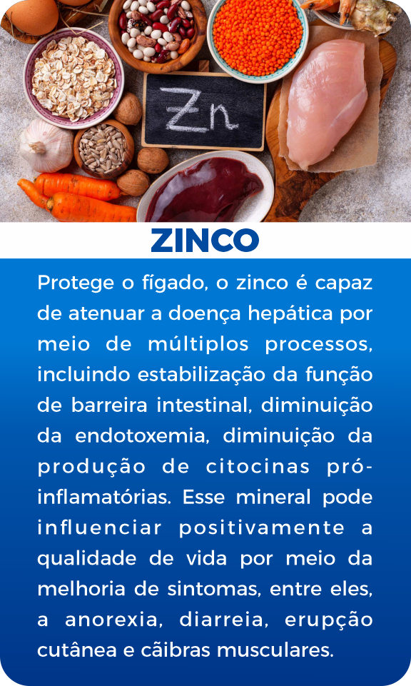 Zinco (1)